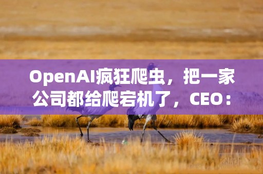 OpenAI疯狂爬虫，把一家公司都给爬宕机了，CEO：堪比DDoS