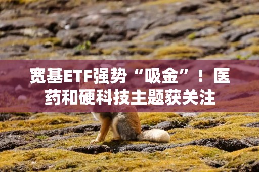 宽基ETF强势“吸金”！医药和硬科技主题获关注