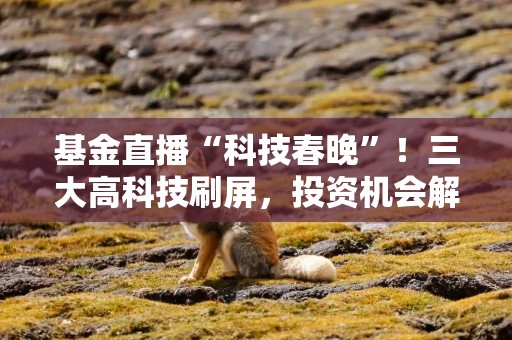 基金直播“科技春晚”！三大高科技刷屏，投资机会解读来了