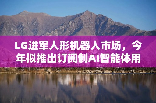 LG进军人形机器人市场，今年拟推出订阅制AI智能体用作基础模型