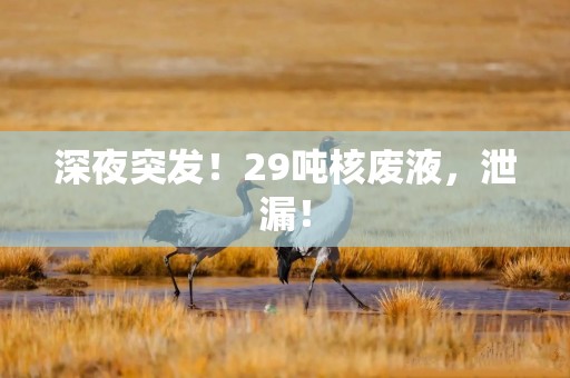 深夜突发！29吨核废液，泄漏！
