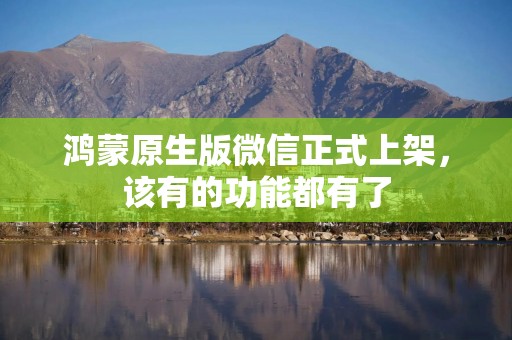 鸿蒙原生版微信正式上架，该有的功能都有了
