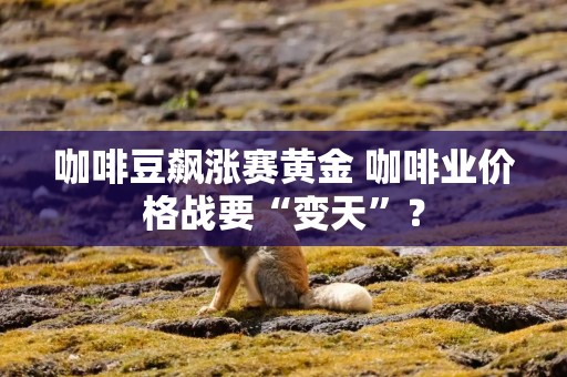 咖啡豆飙涨赛黄金 咖啡业价格战要“变天”？