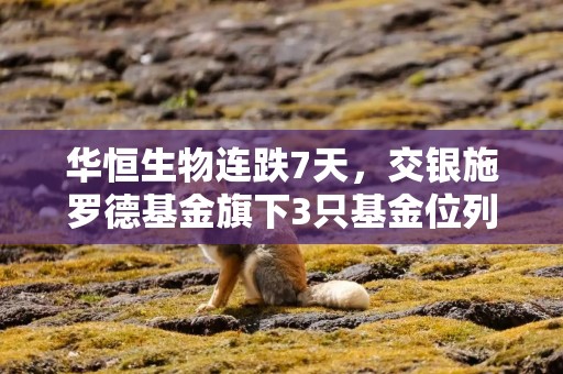 华恒生物连跌7天，交银施罗德基金旗下3只基金位列前十大股东