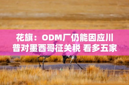 花旗：ODM厂仍能因应川普对墨西哥征关税 看多五家台厂
