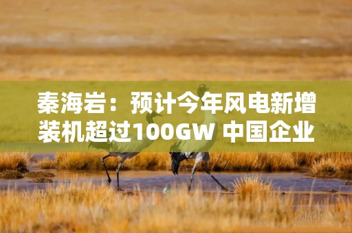 秦海岩：预计今年风电新增装机超过100GW 中国企业有底气也有能力出海