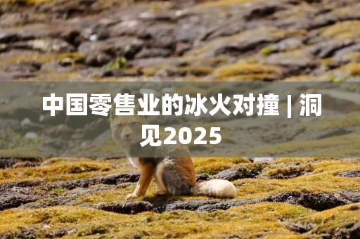中国零售业的冰火对撞 | 洞见2025