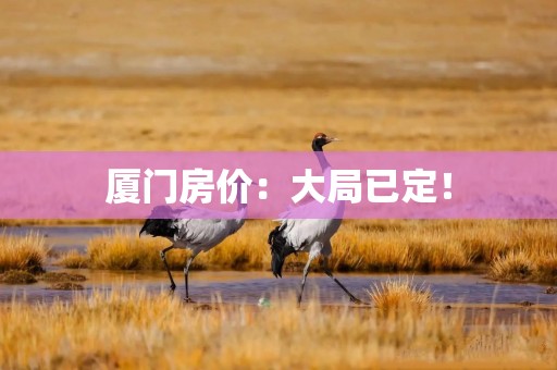 厦门房价：大局已定！