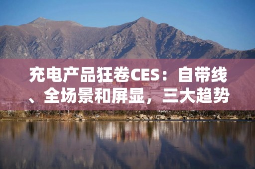 充电产品狂卷CES：自带线、全场景和屏显，三大趋势已明