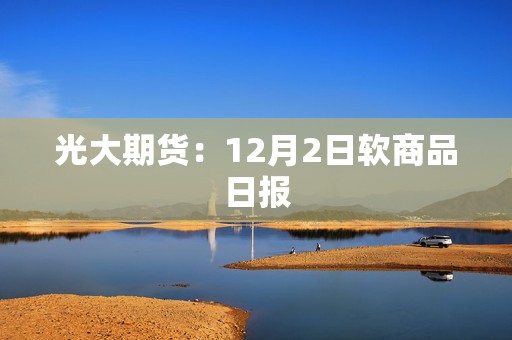 光大期货：12月2日软商品日报