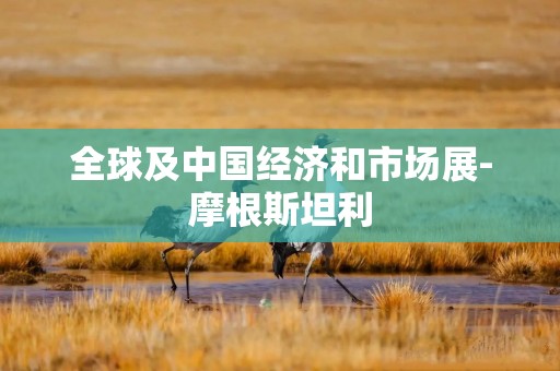 全球及中国经济和市场展-摩根斯坦利