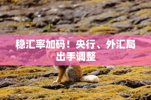 稳汇率加码！央行、外汇局出手调整