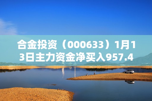 合金投资（000633）1月13日主力资金净买入957.45万元