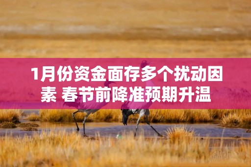 1月份资金面存多个扰动因素 春节前降准预期升温