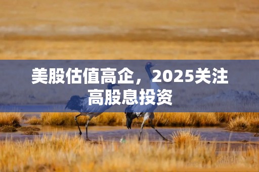 美股估值高企，2025关注高股息投资