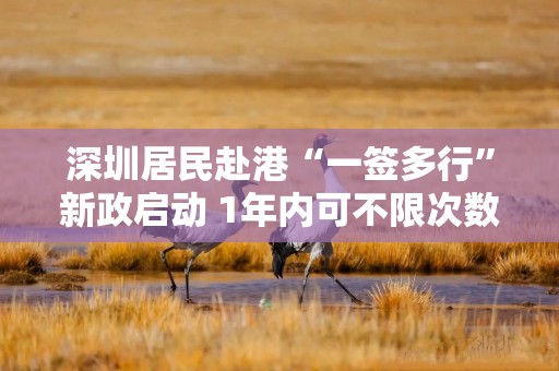 深圳居民赴港“一签多行”新政启动 1年内可不限次数往来