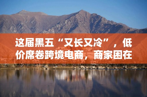 这届黑五“又长又冷”，低价席卷跨境电商，商家困在比价系统里