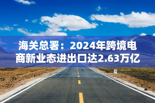 海关总署：2024年跨境电商新业态进出口达2.63万亿元