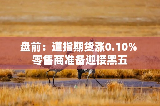 盘前：道指期货涨0.10% 零售商准备迎接黑五