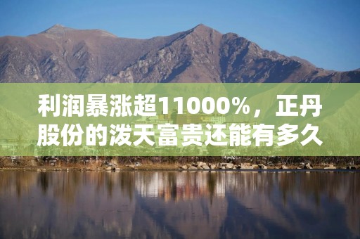 利润暴涨超11000%，正丹股份的泼天富贵还能有多久？