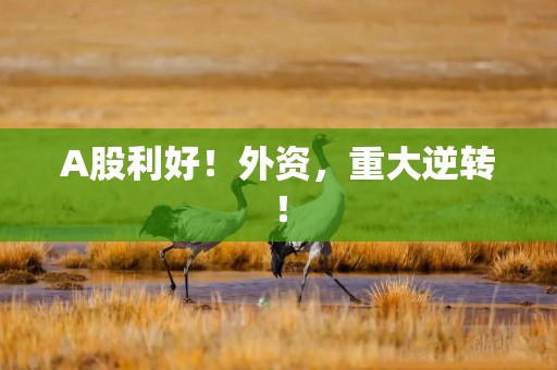 A股利好！外资，重大逆转！