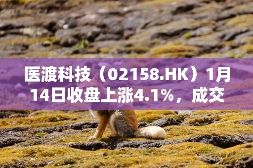 医渡科技（02158.HK）1月14日收盘上涨4.1%，成交2625.27万港元