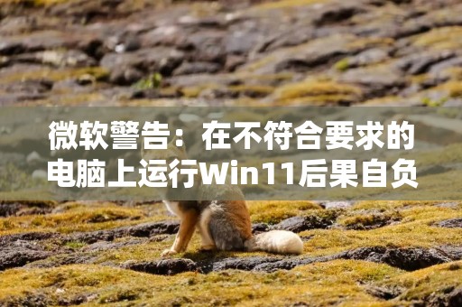 微软警告：在不符合要求的电脑上运行Win11后果自负
