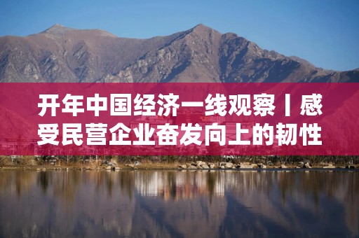 开年中国经济一线观察丨感受民营企业奋发向上的韧性和生机——开年中国经济一线观察之六