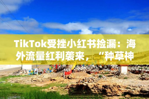 TikTok受挫小红书捡漏：海外流量红利袭来，“种草神器”能否接住