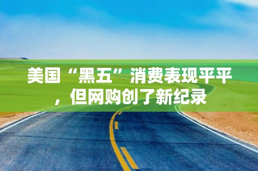 美国“黑五”消费表现平平，但网购创了新纪录