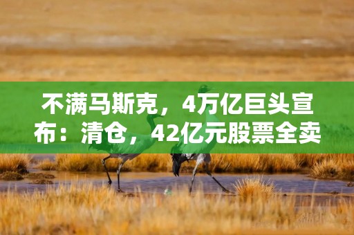 不满马斯克，4万亿巨头宣布：清仓，42亿元股票全卖了！特斯拉股价跳水