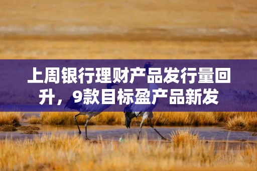 上周银行理财产品发行量回升，9款目标盈产品新发