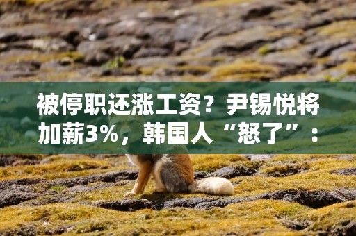 被停职还涨工资？尹锡悦将加薪3%，韩国人“怒了”：凭什么？