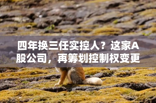 四年换三任实控人？这家A股公司，再筹划控制权变更