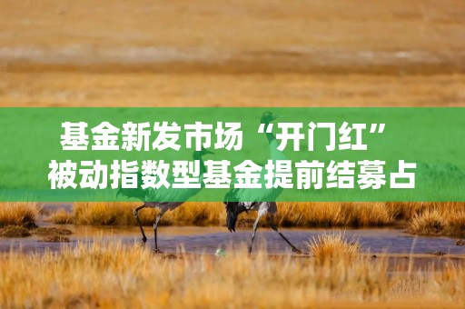 基金新发市场“开门红” 被动指数型基金提前结募占比过半