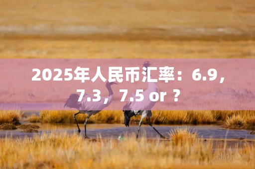 2025年人民币汇率：6.9，7.3，7.5 or ？
