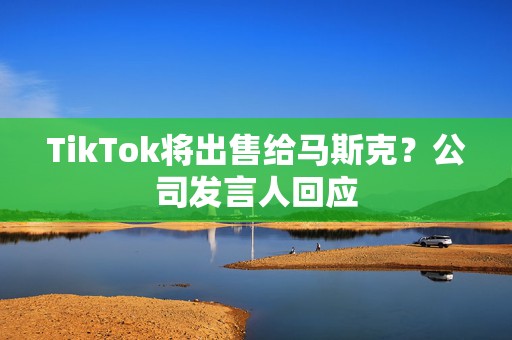 TikTok将出售给马斯克？公司发言人回应