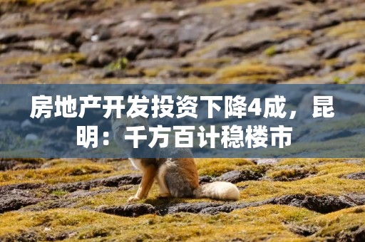 房地产开发投资下降4成，昆明：千方百计稳楼市