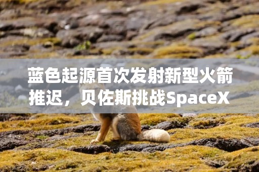 蓝色起源首次发射新型火箭推迟，贝佐斯挑战SpaceX之路遇阻