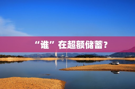 “谁”在超额储蓄？