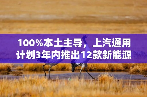 100%本土主导，上汽通用计划3年内推出12款新能源车型