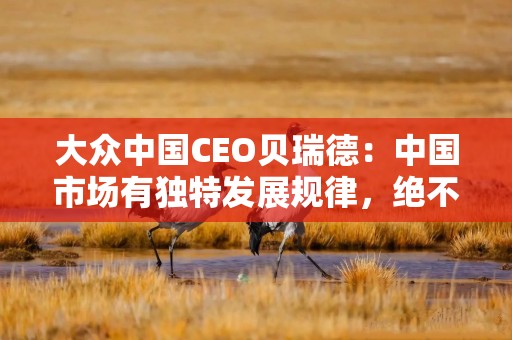 大众中国CEO贝瑞德：中国市场有独特发展规律，绝不能消极等待和幻想