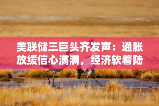 美联储三巨头齐发声：通胀放缓信心满满，经济软着陆在望！