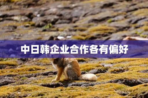 中日韩企业合作各有偏好