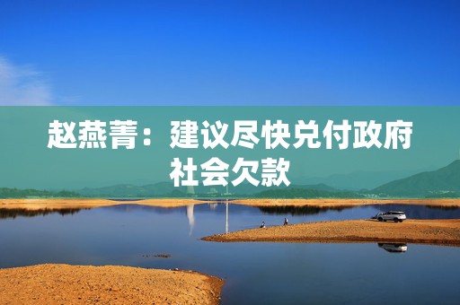 赵燕菁：建议尽快兑付政府社会欠款