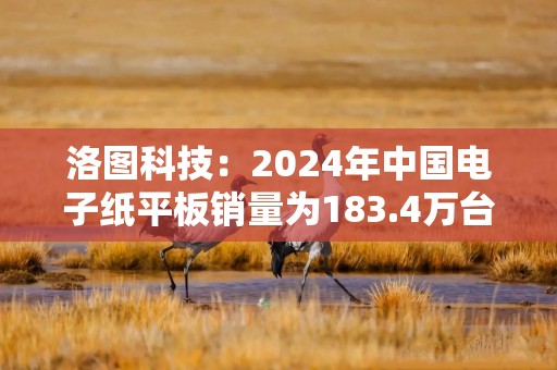 洛图科技：2024年中国电子纸平板销量为183.4万台