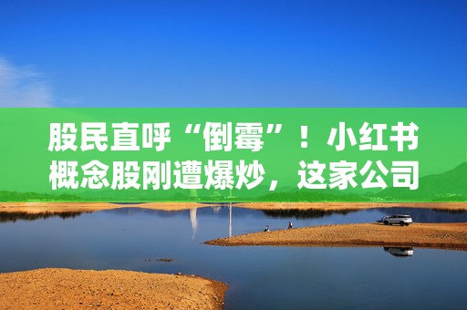 股民直呼“倒霉”！小红书概念股刚遭爆炒，这家公司就被立案了