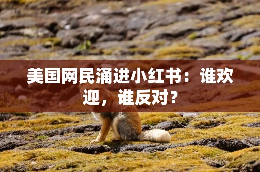 美国网民涌进小红书：谁欢迎，谁反对？
