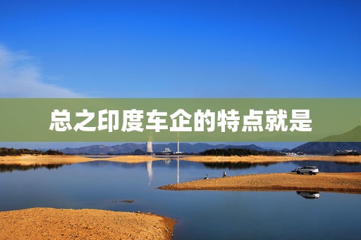 总之印度车企的特点就是
