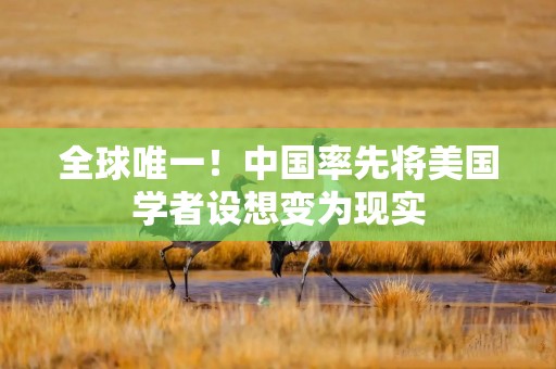 全球唯一！中国率先将美国学者设想变为现实